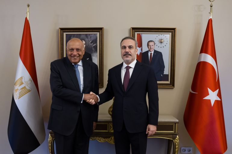 وزير الخارجية التركي هاكان فيدان (يمين) رفقة نظيره المصري سامح شكري (الأناضول)